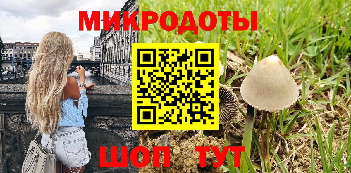 Галлюциногенные грибы Psilocybe Фурманов
