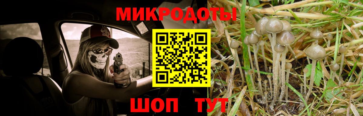 Псилоцибиновые грибы GOLDEN TEACHER Фурманов