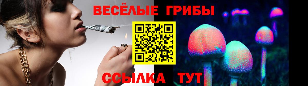 Фурманов  Псилоцибиновые грибы MAGIC MUSHROOMS  Вход с VPN 